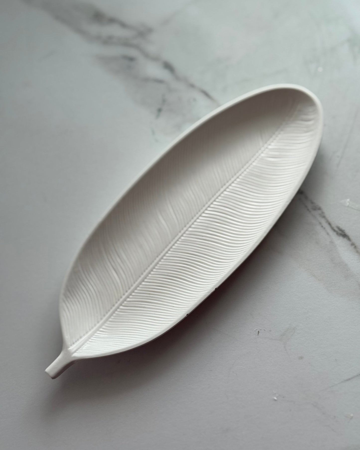 Feather - Dustivy