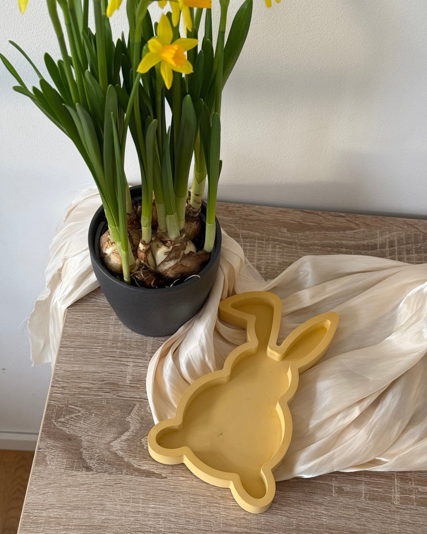 Rabbit - Dustivy