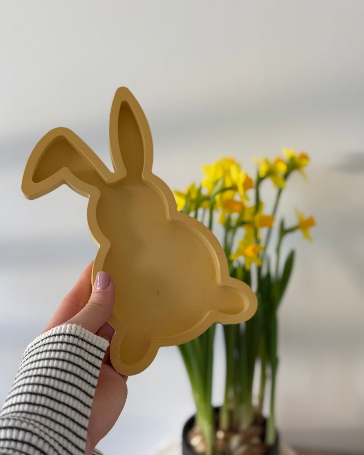 Rabbit - Dustivy